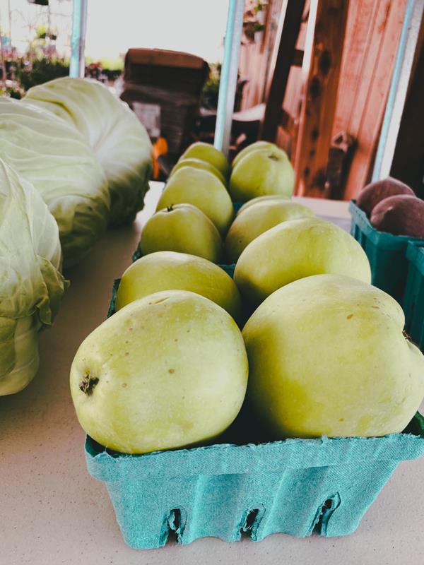 Homestead Greenhouse Crofton, KY