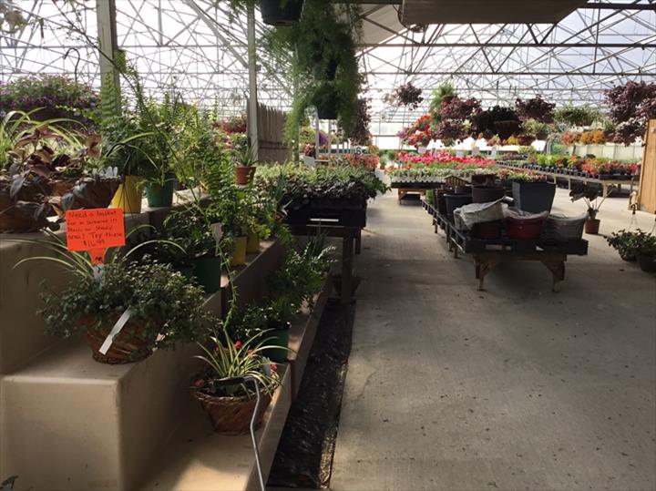 Homestead Greenhouse Crofton, KY