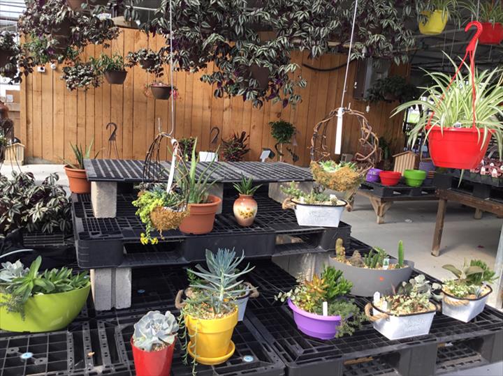 Homestead Greenhouse Crofton, KY